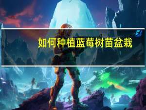 如何种植蓝莓树苗盆栽