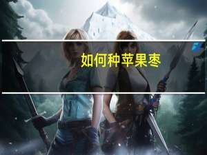 如何种苹果枣