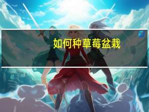 如何种草莓盆栽