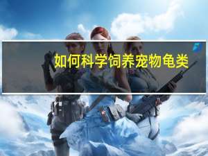 如何科学饲养宠物龟类