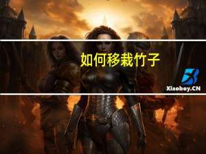 如何移栽竹子