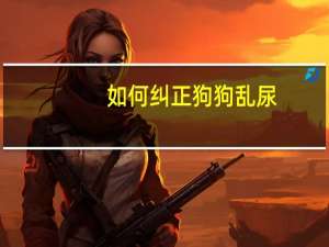 如何纠正狗狗乱尿
