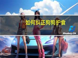 如何纠正狗狗护食