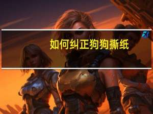 如何纠正狗狗撕纸
