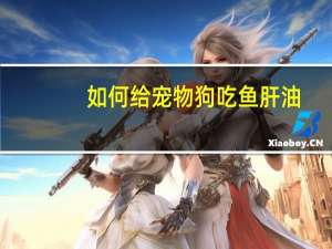 如何给宠物狗吃鱼肝油