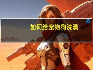 如何给宠物狗洗澡
