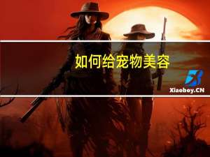 如何给宠物美容