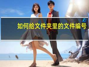 如何给文件夹里的文件编号（如何给文件夹加密码）