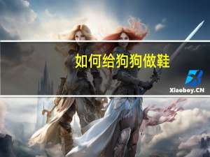 如何给狗狗做鞋