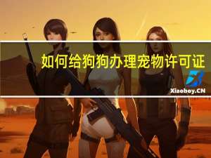 如何给狗狗办理宠物许可证