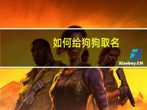 如何给狗狗取名