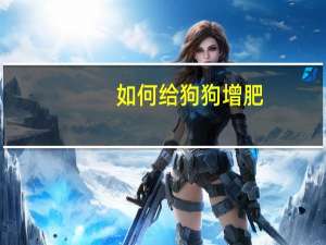 如何给狗狗增肥