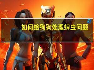 如何给狗狗处理蜱虫问题