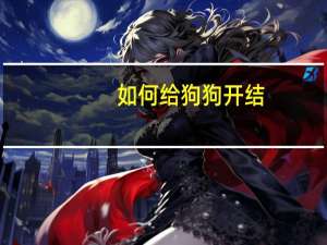 如何给狗狗开结