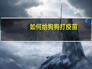 如何给狗狗打疫苗