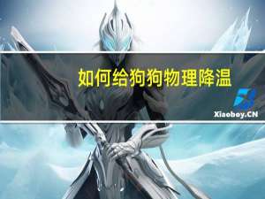 如何给狗狗物理降温