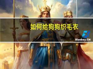 如何给狗狗织毛衣