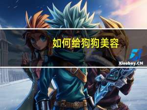 如何给狗狗美容