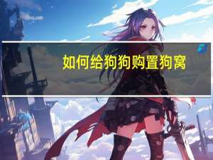 如何给狗狗购置狗窝