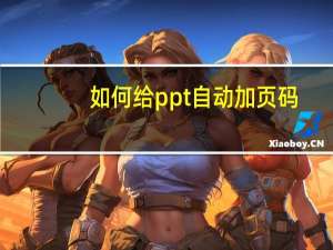 如何给ppt自动加页码（怎么给ppt加页码）