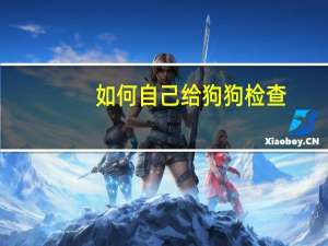 如何自己给狗狗检查