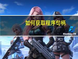 如何获取程序句柄