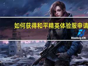 如何获得和平精英体验服申请