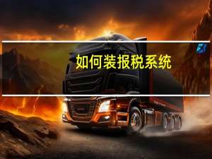 如何装报税系统
