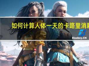如何计算人体一天的卡路里消耗