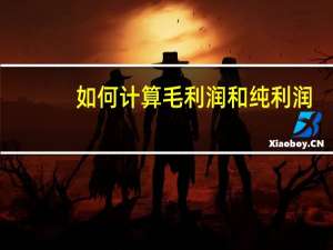 如何计算毛利润和纯利润