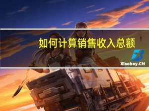 如何计算销售收入总额（如何计算销售收入(Sales Revenue)）