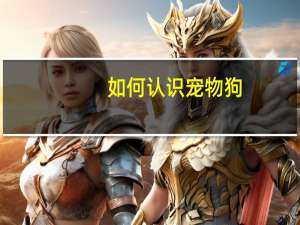 如何认识宠物狗