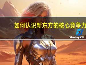 如何认识新东方的核心竞争力