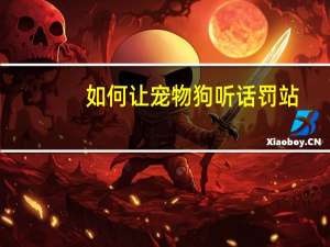 如何让宠物狗听话罚站
