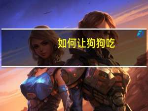 如何让狗狗吃