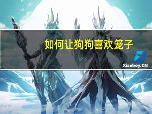 如何让狗狗喜欢笼子