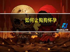 如何让狗狗怀孕