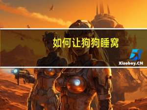 如何让狗狗睡窝