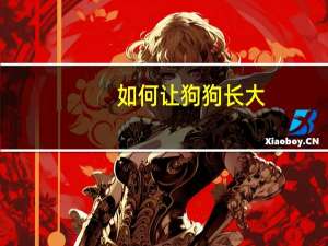 如何让狗狗长大