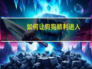 如何让狗狗顺利进入