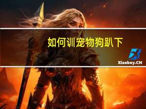 如何训宠物狗趴下