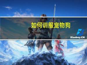 如何训服宠物狗