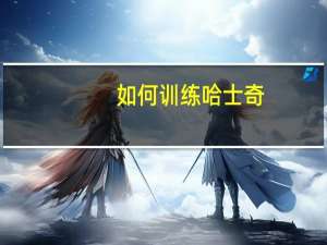 如何训练哈士奇