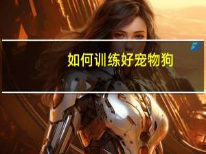 如何训练好宠物狗