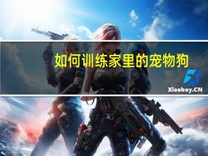如何训练家里的宠物狗