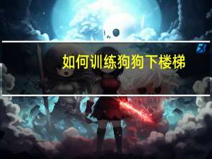 如何训练狗狗下楼梯