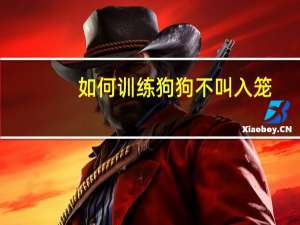 如何训练狗狗不叫入笼