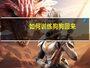 如何训练狗狗回来