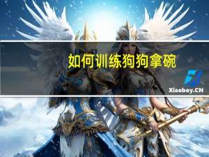 如何训练狗狗拿碗