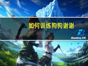 如何训练狗狗谢谢